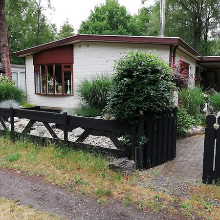 Sfeervol, Ruim En Luxe Chalet In Bosrijke Omgeving Villa Diessen Kültér fotó