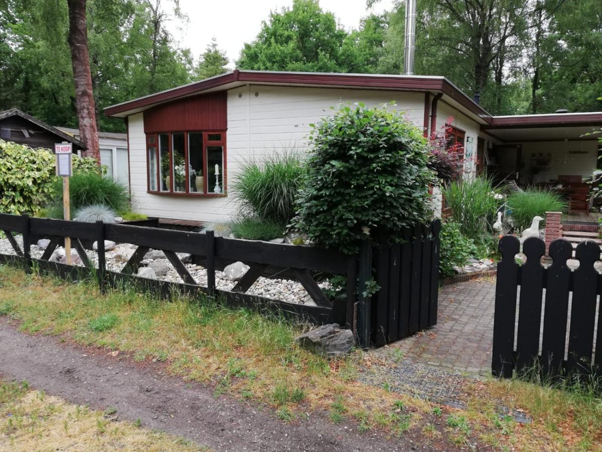 Sfeervol, Ruim En Luxe Chalet In Bosrijke Omgeving Villa Diessen Kültér fotó